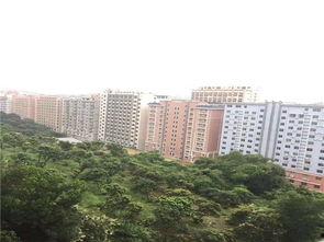 东莞凤岗爆料事件最新,揭秘背后真相与争议焦点